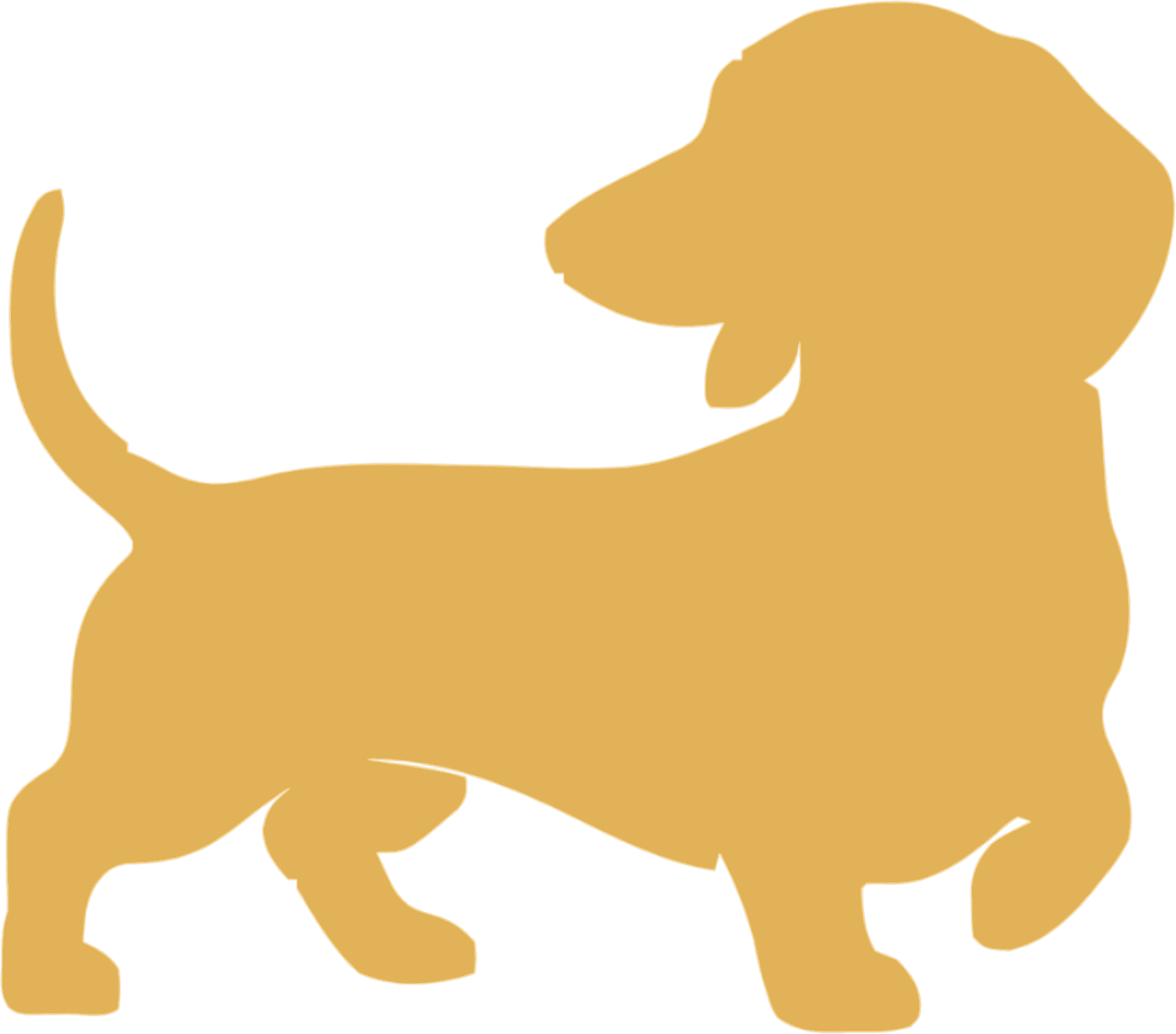 888 dachshund mascot